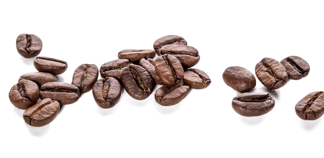Wildts Wiring High Voltage Coffee Beans